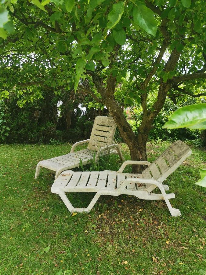 Ruhe Am Wald - Zentral Und Woerthersee Appartement Klagenfurt am Woerthersee Buitenkant foto